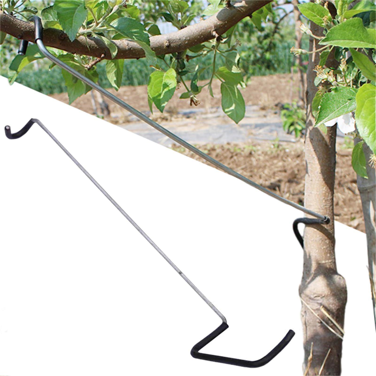 Gardening Tools Bundle - Fruit Tree Branch Spreader 10Pcs/set Garden