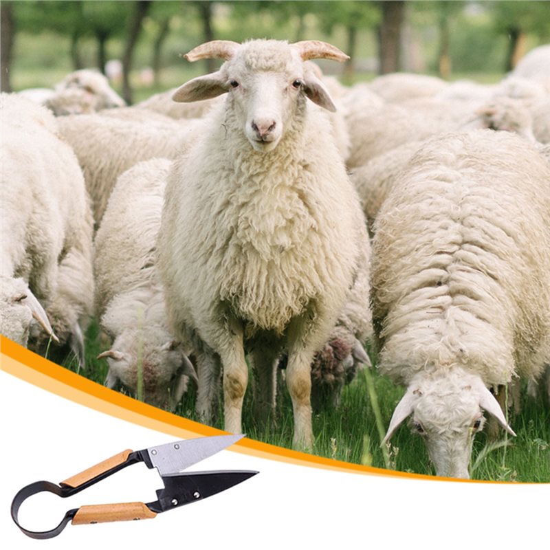 【FLASH DEAL】Heavy Duty 13Inch  - Gardening Tools Deals recensie en prijs