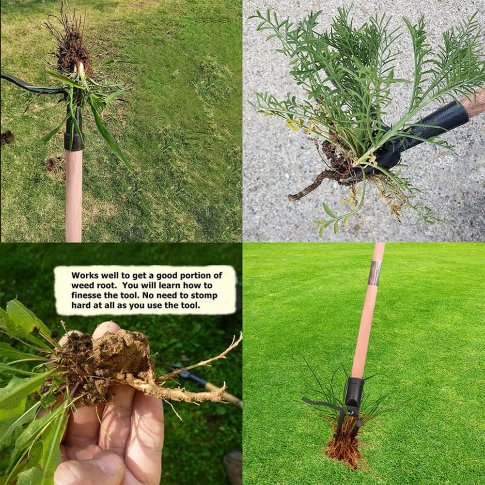 Stand Up Weed Puller Tool Deta - Grass Seed Spreader recensie en prijs