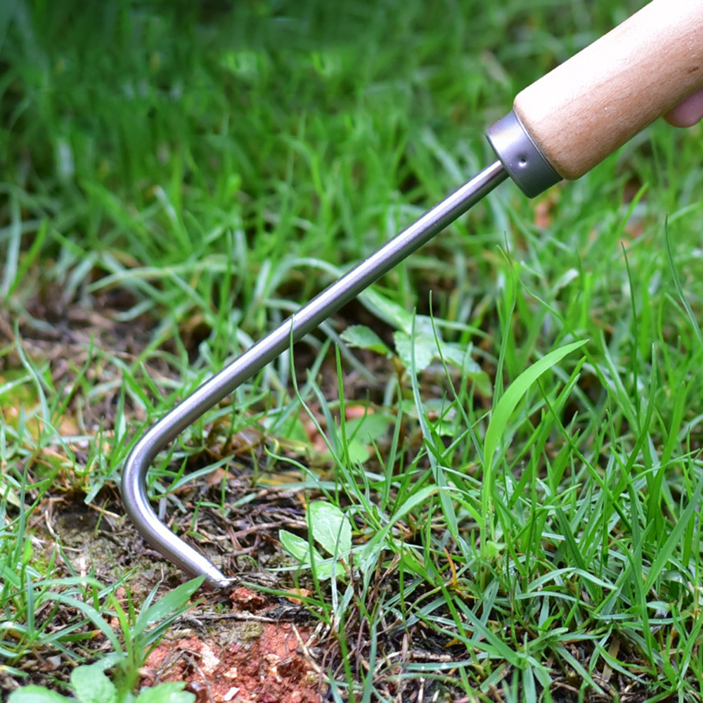 1PC Single Claw Hook Soil Loos - Gardening Tools Store recensie en prijs