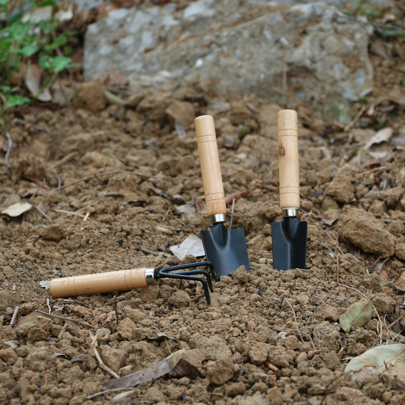3Pcs/Set Mini Garden Tool Set  - Gardening Tools Bundle recensie en prijs
