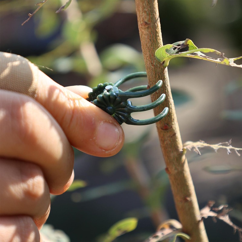Wholesale Mini Plant Support C - Gardening Tools Store recensie en prijs