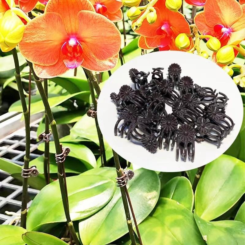 Wholesale Mini Plant Support C - Gardening Tools Store recensie en prijs