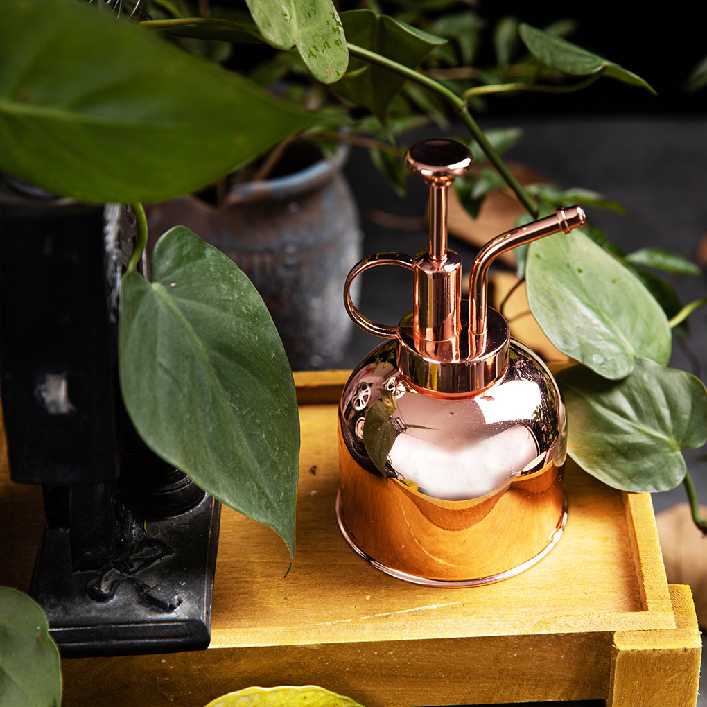 Stainless Steel Sprayer Vintag - Gardening Tools Vintage recensie en prijs