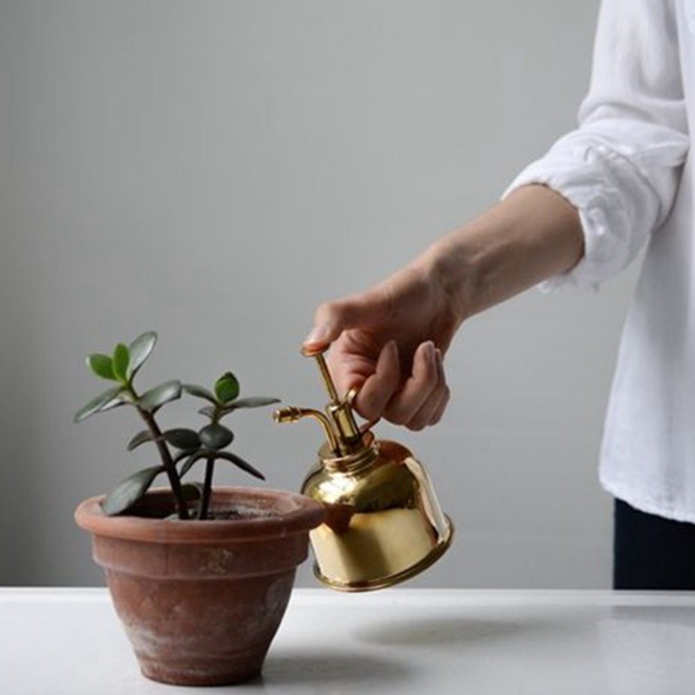 Brass Watering Can Spray Bottl - Gardening Tools Vintage recensie en prijs