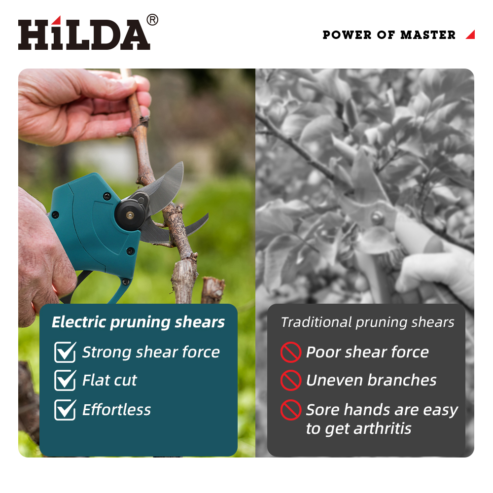 HILDA 18V Brushless Cordless E - Gardening Tools Basic recensie en prijs