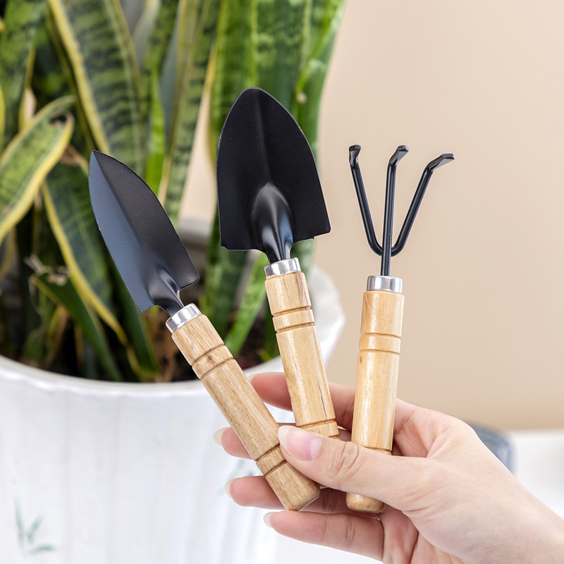 3PC/1Set  Mini Gardening Tools - Gardening Tools Shovel recensie en prijs