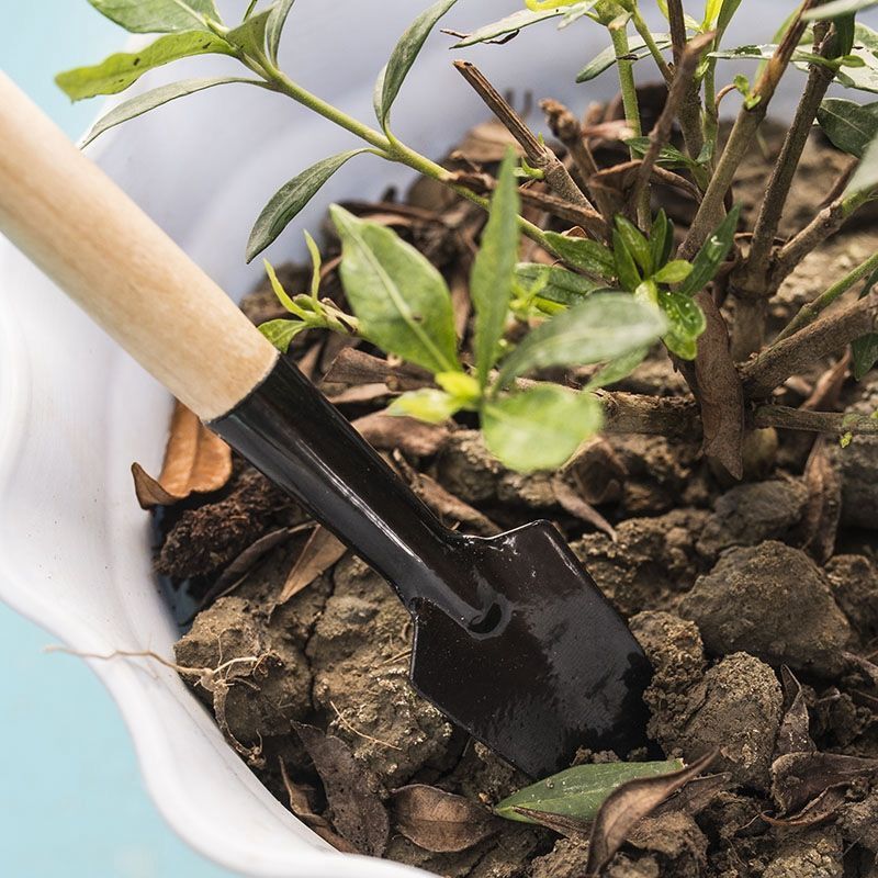 3PC/1Set  Mini Gardening Tools - Gardening Tools Shovel recensie en prijs