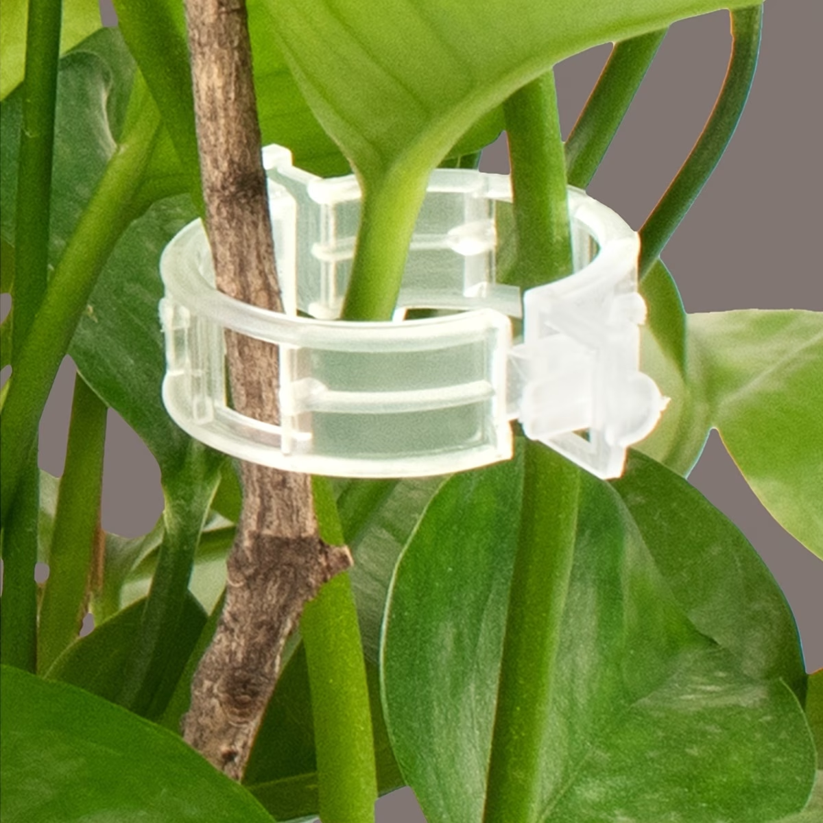 Wholesale Plant Support Clips  - Gardening Tools Store recensie en prijs