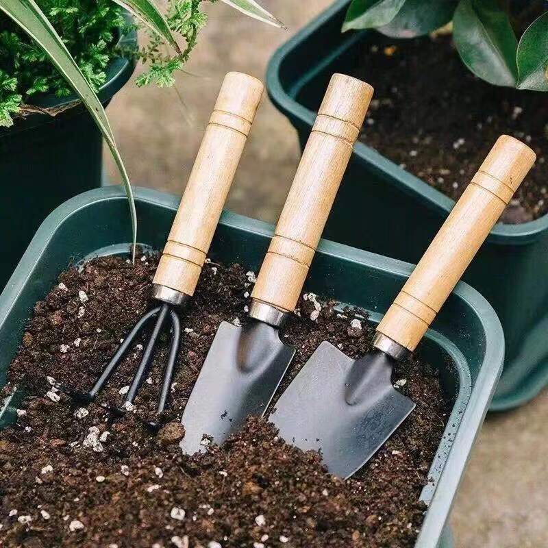 3PC/1Set Mini Gardening Tools  - Gardening Tools Bundle recensie en prijs