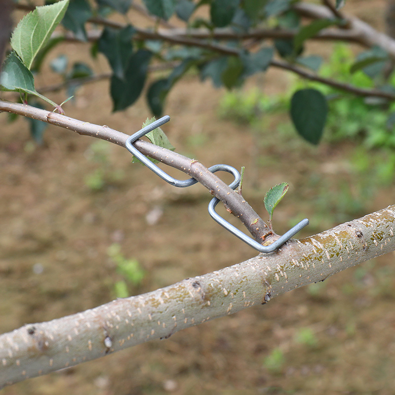 30pcs/set Fruit Tree Branch Pu - Gardening Tools Bundle recensie en prijs