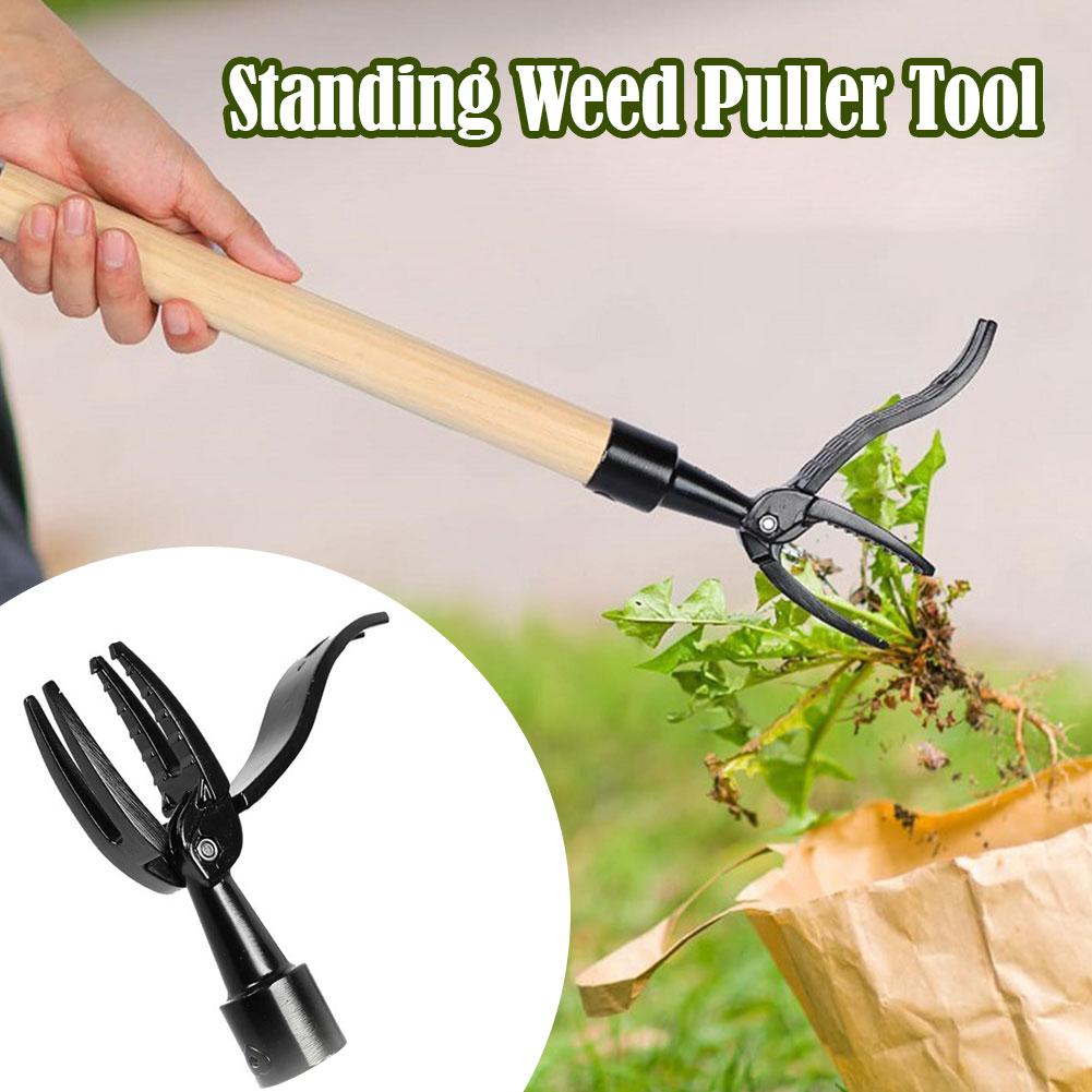 Weed Puller Claw Tool Engineer - Grass Seed Spreader recensie en prijs