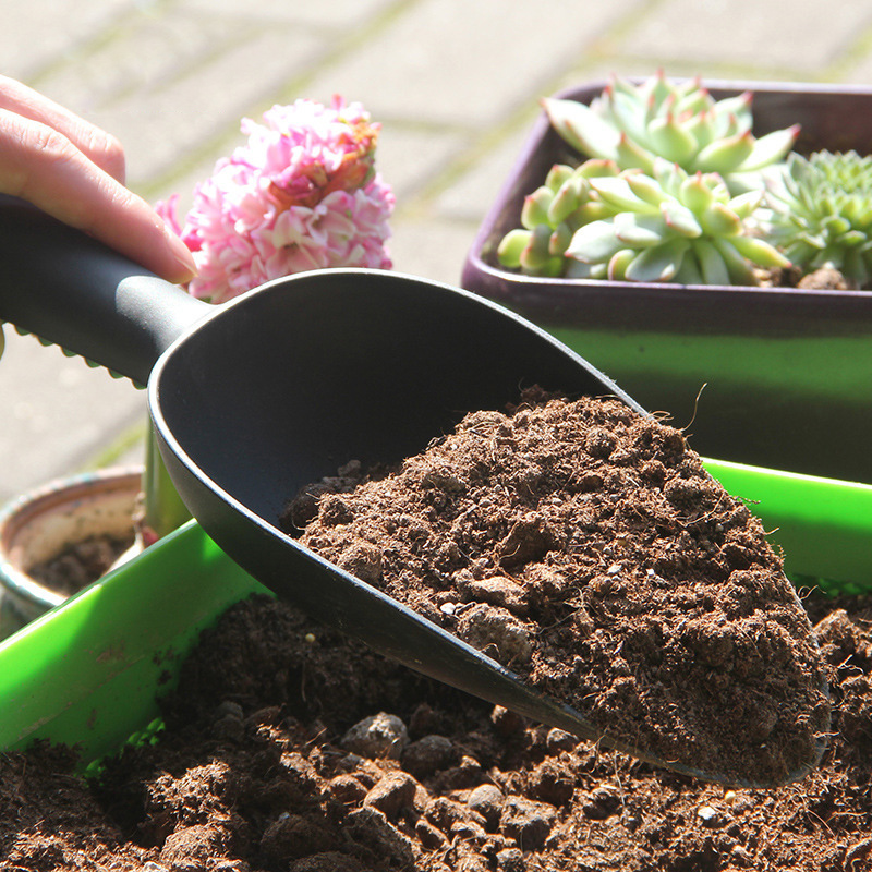【F】Flower Vegetables Planting  - Gardening Tools Shovel recensie en prijs