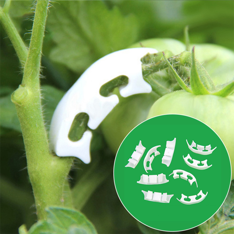 50/100pcs Botany-stem Vine Str - Gardening Tools Bundle recensie en prijs