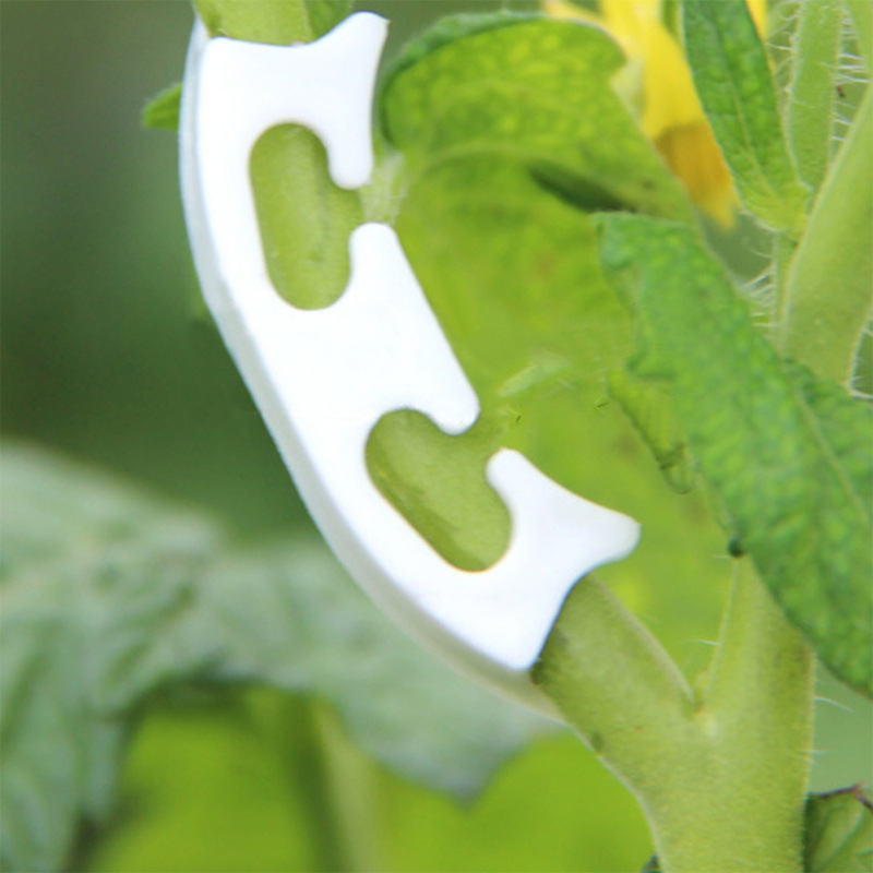 50/100pcs Botany-stem Vine Str - Gardening Tools Bundle recensie en prijs
