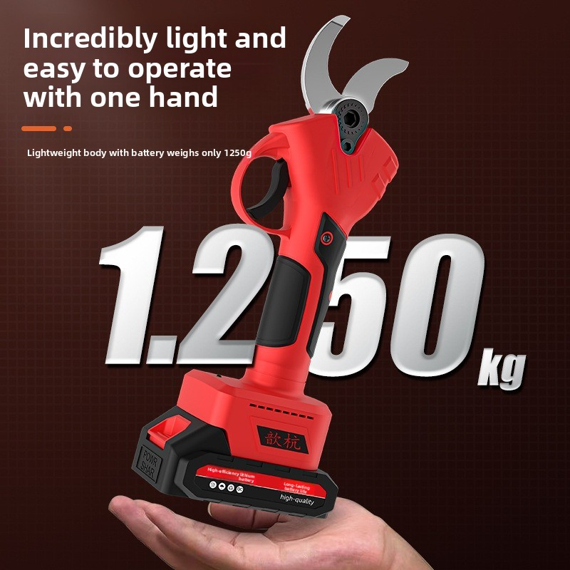 Rechargeable Lithium Battery E - Gardening Tools Basic recensie en prijs