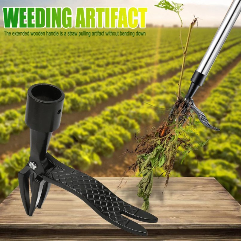 Stand Up Weed Puller Claw Tool - Grass Seed Spreader recensie en prijs