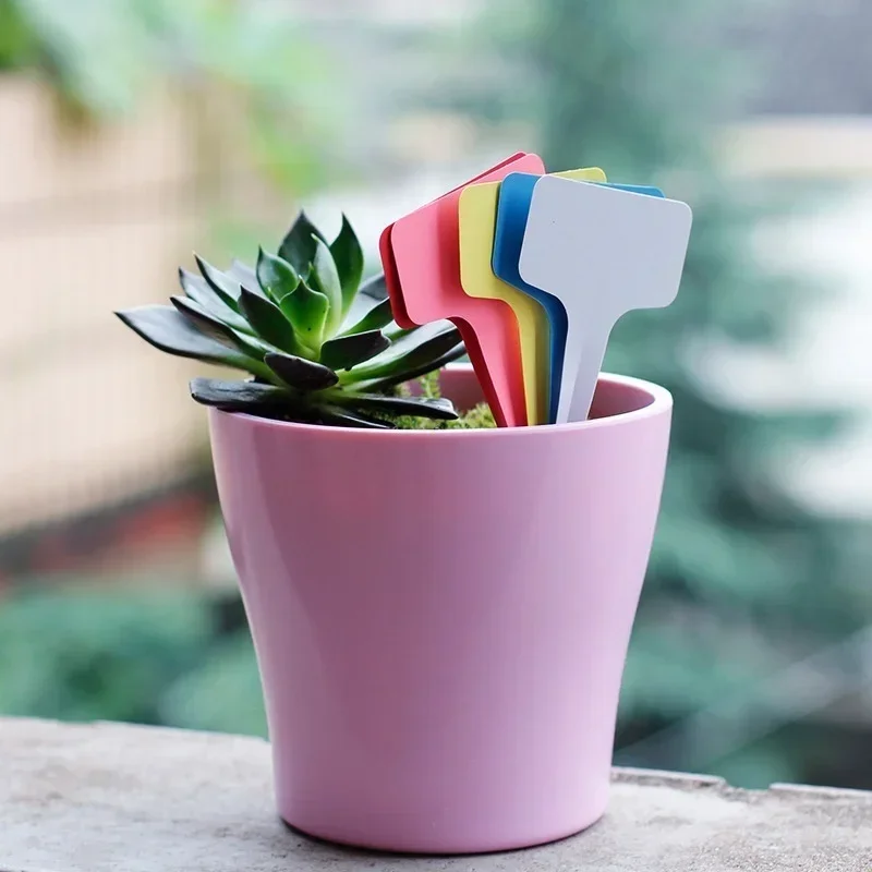 20 Pcs Plastic Waterproof Plan - Gardening Tools Names recensie en prijs