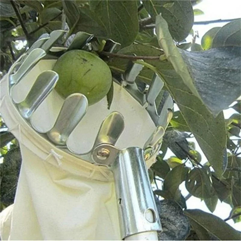 Practical Garden Fruit Picker  - Gardening Tools Scissors recensie en prijs