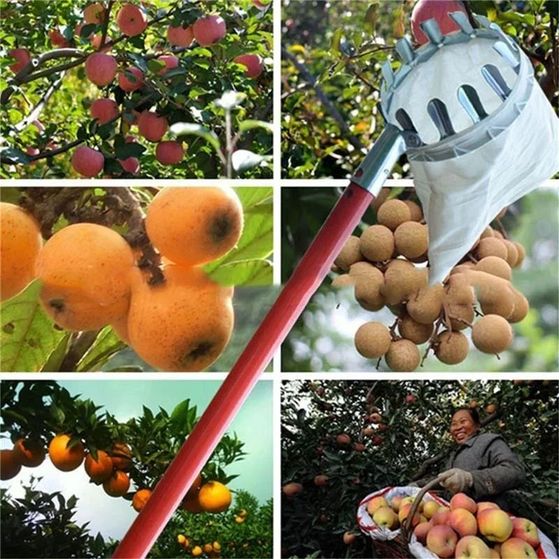 Practical Garden Fruit Picker  - Gardening Tools Scissors recensie en prijs