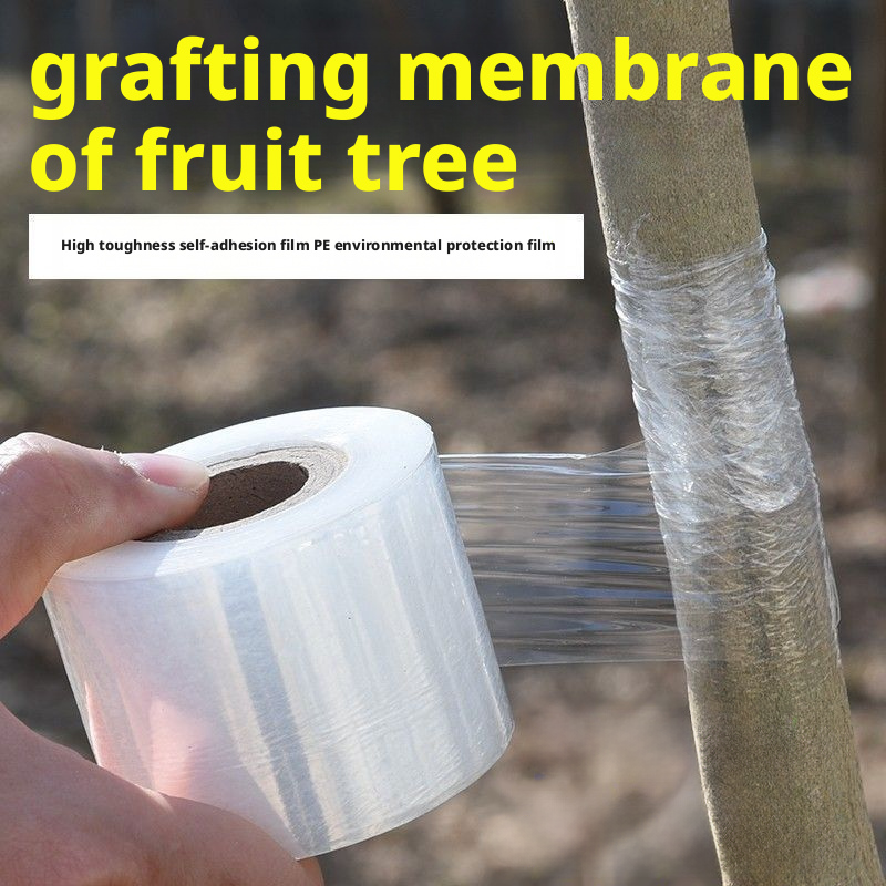 Eco-Friendly Biodegradable Gra - Grafting Tape recensie en prijs