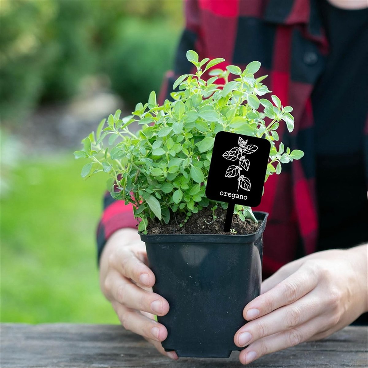 AA14 24Pcs Acrylic Plant Label - Gardening Tools Names recensie en prijs