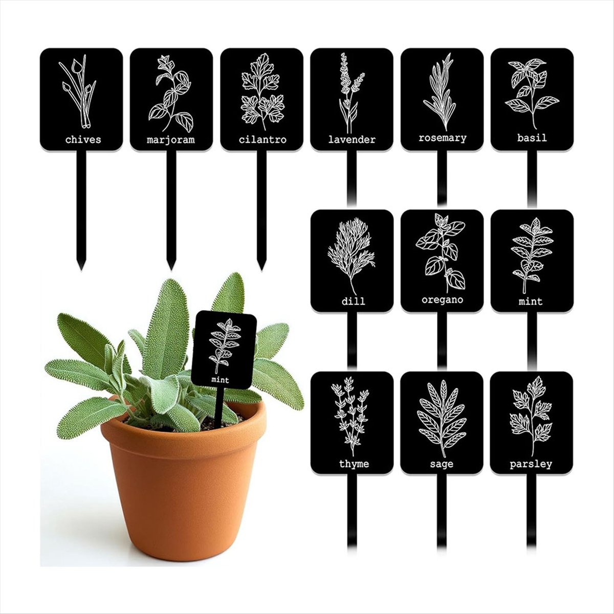 AA14 24Pcs Acrylic Plant Label - Gardening Tools Names recensie en prijs